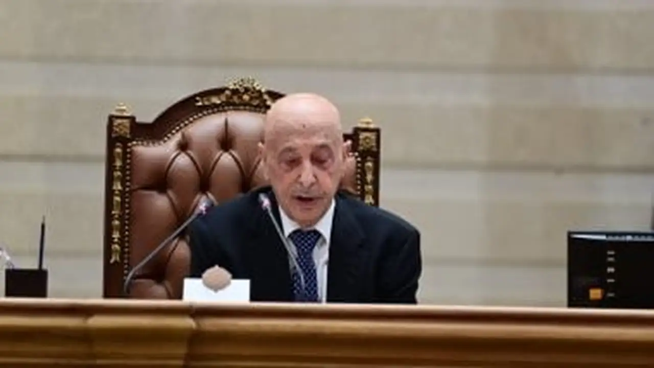 مصر تعلن دعمها القوي لسيادة ليبيا ووحدة أراضيها وفق عقيلة صالح